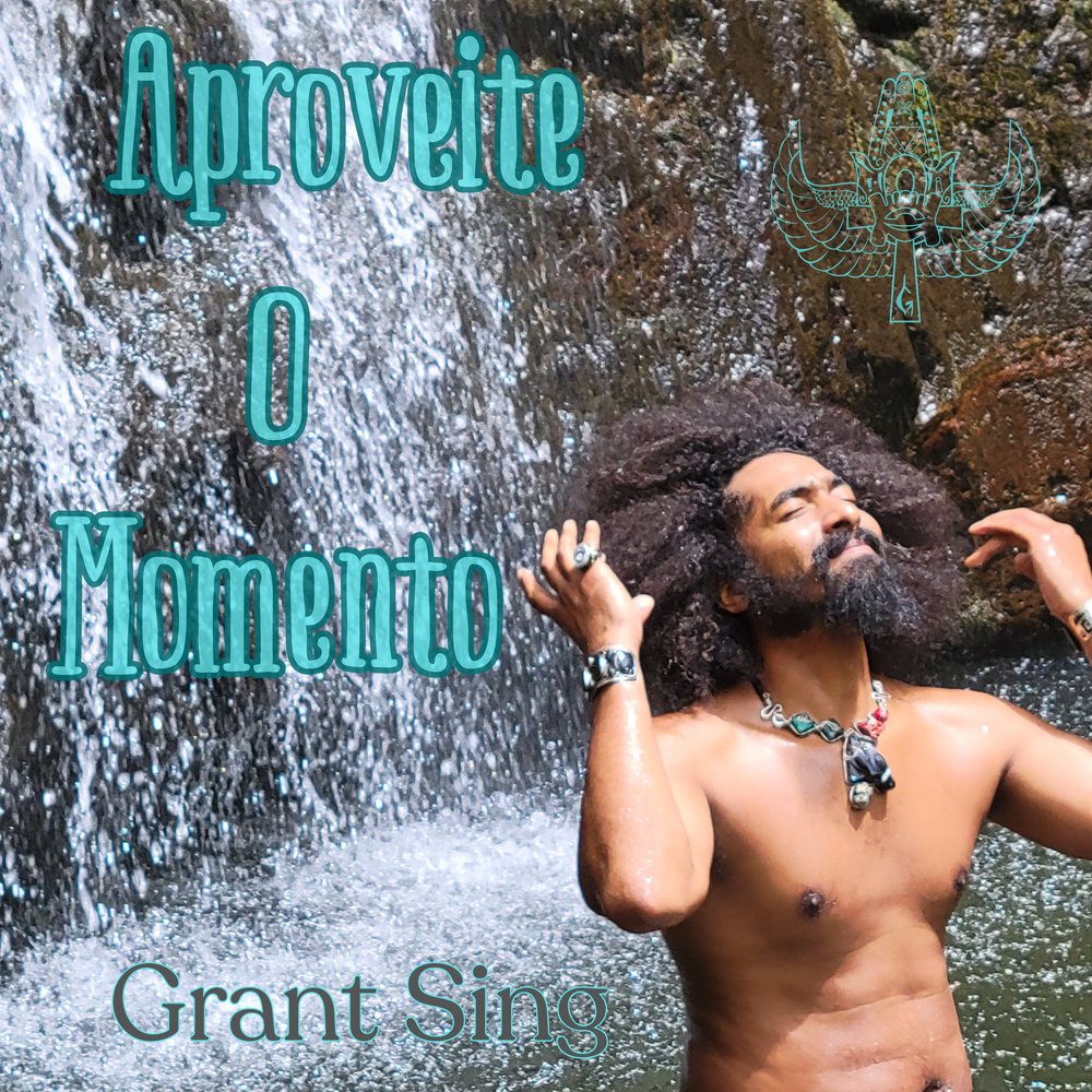 Aproveite O Momento — cover art